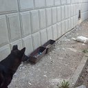 ���� ����, �����������, 65 ��� - ��������� 9 ������� 2010