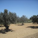 ���� Ser, �����-���������, 46 ��� - ��������� 14 �������� 2010 � ������ ���� ����������