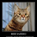 ���� Sergey, ������, 43 ���� - ��������� 2 ������ 2011 � ������ ���� ����������