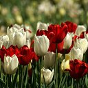 ���� ����� - ���������� ��������!!!, �����������, 56 ��� - ��������� 21 ������ 2010 � ������ ��������ۻ