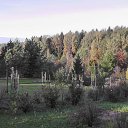 ���� ���������, ������, 78 ��� - ��������� 29 ������ 2011 � ������ ���� ����������