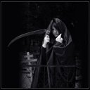 ���� ����������, �����, 34 ���� - ��������� 24 ������� 2011 � ������ ����