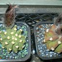 ���� ������, ������, 69 ��� - ��������� 5 ������ 2013 � ������ ���� ��������� ����������