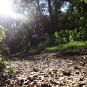 ���� �������, ��������, 48 ��� - ��������� 1 ���� 2012 � ������ ���� ����������