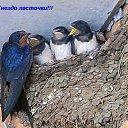 ���� ���, �����, 77 ��� - ��������� 30 ���� 2012