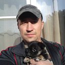 ���� ���������, ����, 49 ��� - ��������� 26 ������� 2012