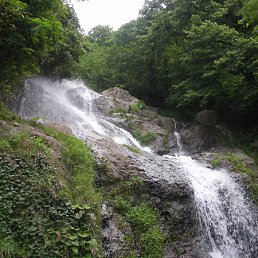 ���� Koba, �������, 49 ��� - ��������� 17 ��� 2012