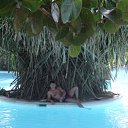 ���� ����, ����������, 43 ���� - ��������� 14 ���� 2012 � ������ ���� ����������