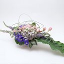 ���� ����� - ���������� ��������!!!, �����������, 56 ��� - ��������� 16 ������ 2010 � ������ ������ۻ