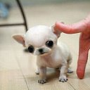 ���� ������, ����-���������, 49 ��� - ��������� 26 ���� 2011 � ������ �������