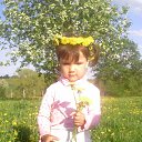 ���� �������, ���������, 42 ���� - ��������� 14 ������� 2011 � ������ ���� ����������