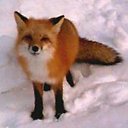 ���� "@����", �����-���������, 25 ��� - ��������� 6 ���� 2010 � ������ ��������-���������