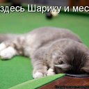 ���� �����, ������, 62 ���� - ��������� 15 ������ 2011 � ������ ���� ����������