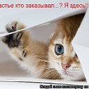 ���� Kis, ������, 44 ���� - ��������� 27 ���� 2012 � ������ �������