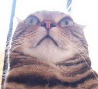 ���� �����, �����������, 57 ��� - ��������� 12 ������� 2012