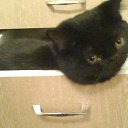 ���� ������, ������, 59 ��� - ��������� 27 ������ 2011 � ������ ���� ����������