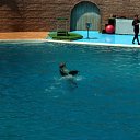  , , 47  -  7  2010   - 2010