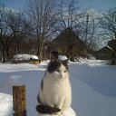 ���� �����, ������ - ��������� 5 ������ 2011 � ������ �����������