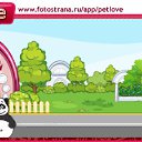 ���� ˸��, ������-��-����, 43 ���� - ��������� 5 ������ 2011