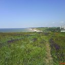 ���� ������, �����, 47 ��� - ��������� 23 ������� 2010 � ������ �PetLove�