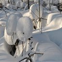 ���� ������, ��������� - ��������� 25 ������� 2010 � ������ �������� �������