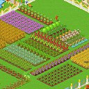 ���� ����, ������ ��������, 35 ��� - ��������� 1 ���� 2011