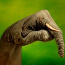 ���� �������, ������, 41 ��� - ��������� 27 ������� 2009 � ������ ���������� ����-���