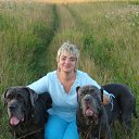 ������� �� ������� ���� ����������