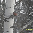 ���� �������, ������, 48 ��� - ��������� 29 ��� 2013 � ������ ���� ����������