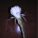 ���� ������, �������, 64 ���� - ��������� 30 �������� 2011 � ������ �����Ȼ