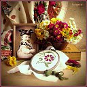 ���� ����, �����, 49 ��� - ��������� 25 ���� 2010