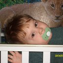 ���� ����, ���������, 25 ��� - ��������� 3 ����� 2010