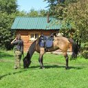 ���� ����� ���, �����������-��-����� - ��������� 17 ������ 2012 � ������ �������