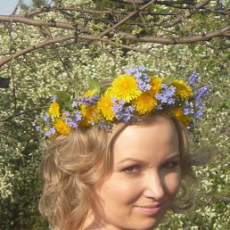 ���� �������, ������, 41 ��� - ��������� 19 ������� 2013