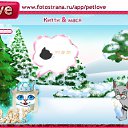  , , 40  -  28  2010   PetLove