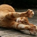 ���� ������, ��������� - ��������� 31 ���� 2013 � ������ ��������