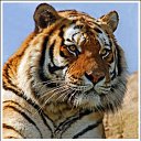 ���� ������, �������, 29 ��� - ��������� 24 ������� 2010 � ������ ���� ����