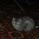 ���� Svetlanas, ���������, 47 ��� - ��������� 7 ���� 2010 � ������ ���� �������