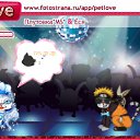 ���� ����, �����-���������, 36 ��� - ��������� 10 ������� 2011 � ������ �PetLove�