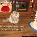 ���� ����, �����, 50 ��� - ��������� 4 ��� 2010 � ������ ������������