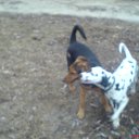 ���� ������, �������, 29 ��� - ��������� 27 ��� 2010 � ������ �����