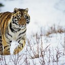   !,  -  27  2009     ...