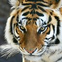 ���� ���, ������� - ��������� 7 ���� 2010 � ������ �������