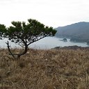 ���� ���������, �����������, 56 ��� - ��������� 14 ����� 2012 � ������ �GAMOV�