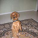 ���� ����� - ���������� ��������!!!, �����������, 56 ��� - ��������� 10 ������ 2010 � ������ �������