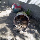 ���-�� � �����)))�������� ������,�������� �����! �� ������� ���� ����������