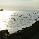 ���� ����, ������-��-����, 37 ��� - ��������� 5 ���� 2012 � ������ �������� �� ����