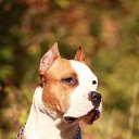 ���� �����, ����, 39 ��� - ��������� 25 ������ 2012 � ������ �������