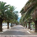 ���� Robert, ���-���������, 64 ���� - ��������� 12 ��� 2011 � ������ �La Spezia / 5 Terre Carrara / Italy�