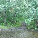 ���� �����, �����������-��-�����, 50 ��� - ��������� 14 ���� 2012 � ������ ���� ����������